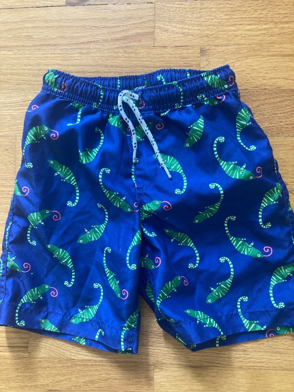 Boy's Lands End Swim Trunks